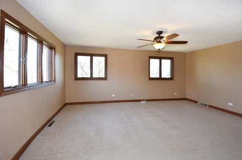 19048 Ruth Dr, Mokena, IL 60448 photo 10