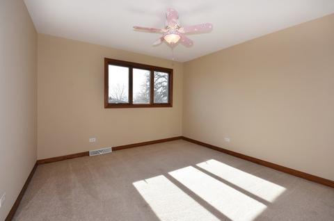 19048 Ruth Dr, Mokena, IL 60448 photo 13