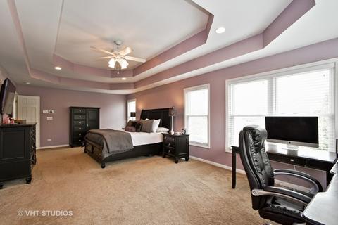 15200 Eyre Cir, Plainfield, IL 60544 photo 9