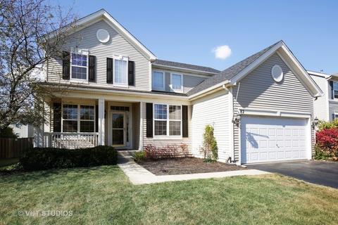 82 Meadows Dr, Gilberts, IL 60136 photo 1