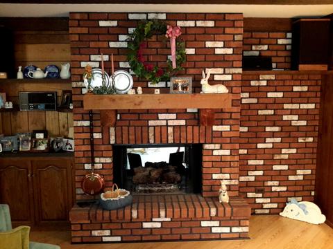 18745 Ruth Dr, Mokena, IL 60448 photo 6