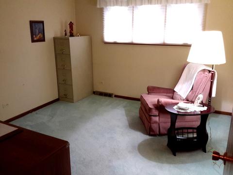 18745 Ruth Dr, Mokena, IL 60448 photo 22