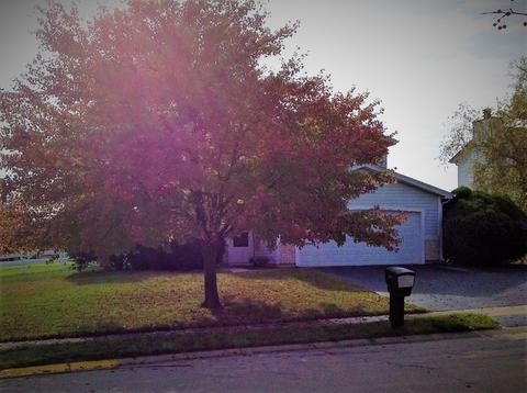 3045 Timber Hill Ct, Aurora, IL 60504 photo 3