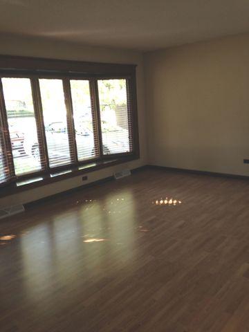 110 E Walnut Ave, Des Plaines, IL 60016 photo 3