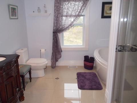 27402 S Maple St, Beecher, IL 60401 photo 9