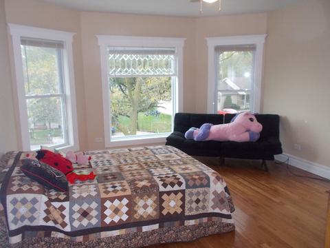 27402 S Maple St, Beecher, IL 60401 photo 14