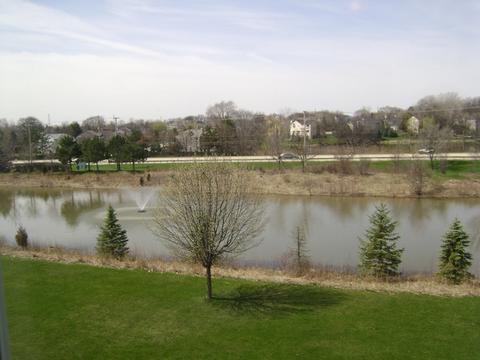 688 Norfolk Ave, Bartlett, IL 60103 photo 23