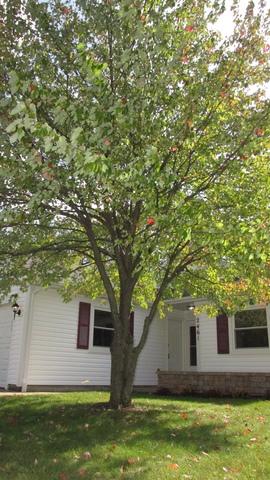 2461 Hedge Row Dr, Aurora, IL 60502 photo 39