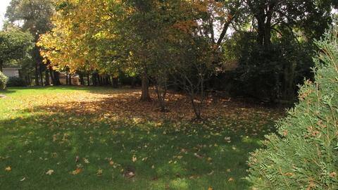 2461 Hedge Row Dr, Aurora, IL 60502 photo 3