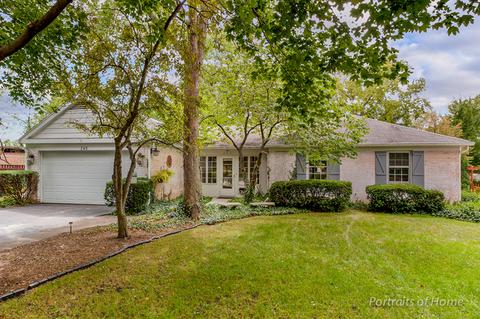 246 E Park Ave, Wheaton, IL 60189 photo 1