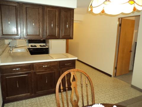7206 W 62nd Pl, Summit, IL 60501 photo 10