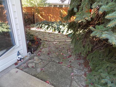 23548 W Rueben St, Plainfield, IL 60586 photo 3