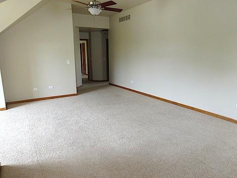 12510 Lily Ln, Plainfield, IL 60585 photo 18