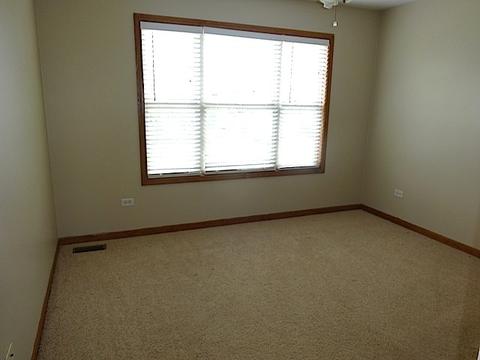 12510 Lily Ln, Plainfield, IL 60585 photo 24