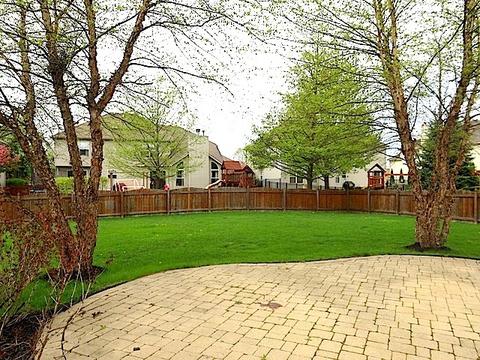 12510 Lily Ln, Plainfield, IL 60585 photo 3