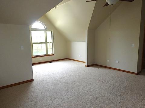 12510 Lily Ln, Plainfield, IL 60585 photo 17