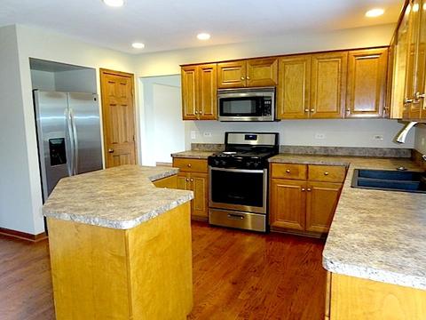 12510 Lily Ln, Plainfield, IL 60585 photo 11