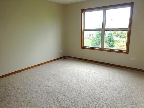 12510 Lily Ln, Plainfield, IL 60585 photo 22