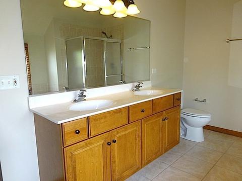 12510 Lily Ln, Plainfield, IL 60585 photo 19