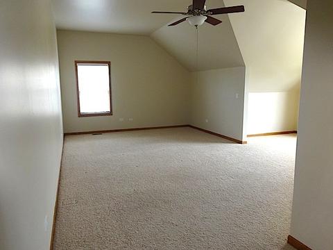 12510 Lily Ln, Plainfield, IL 60585 photo 16