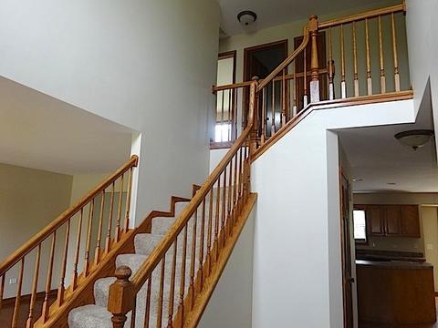 12510 Lily Ln, Plainfield, IL 60585 photo 4