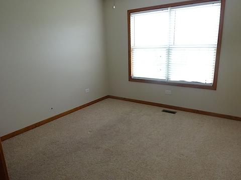 12510 Lily Ln, Plainfield, IL 60585 photo 23