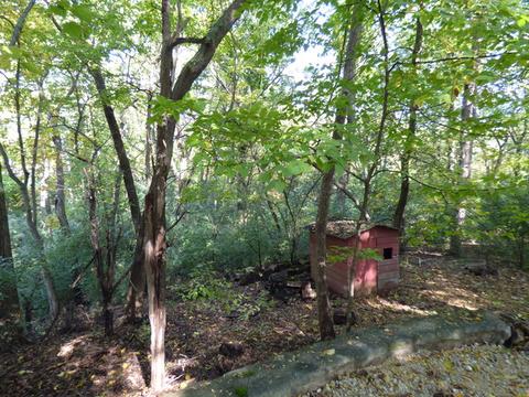 604 Brookside Rd, North Barrington, IL 60010 photo 16