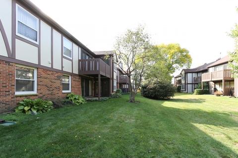 4650 Calvert Dr #D1, Rolling Meadows, IL 60008 photo 22