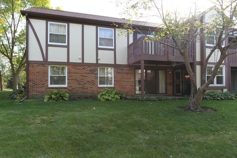 4650 Calvert Dr #D1, Rolling Meadows, IL 60008 photo 24