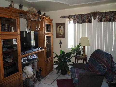 5301 S 72nd Ct, Summit, IL 60501 photo 6