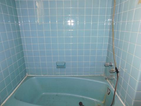 9433 S Champlain Ave, Chicago, IL 60619 photo 18