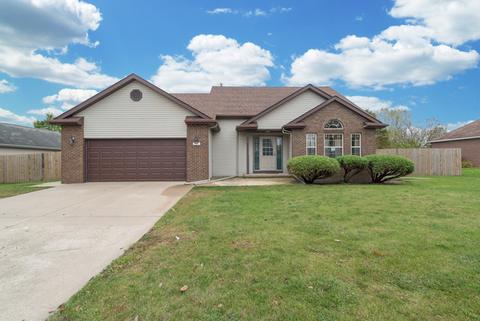 207 Susan Dr, Dwight, IL 60420 photo 1