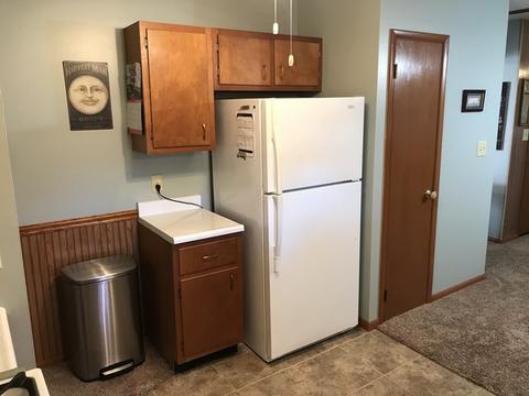 303 N 3rd St, Danforth, IL 60930 photo 8