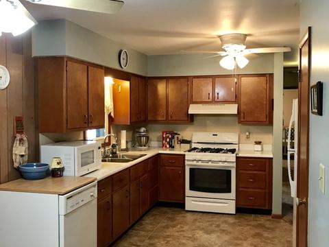 303 N 3rd St, Danforth, IL 60930 photo 7
