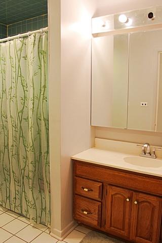 291 Dover Ln, Des Plaines, IL 60018 photo 3