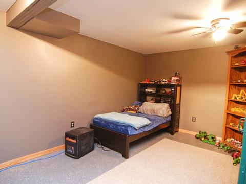1540 E Reed Rd, Mazon, IL 60444 photo 17