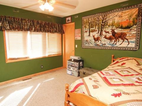 1540 E Reed Rd, Mazon, IL 60444 photo 13