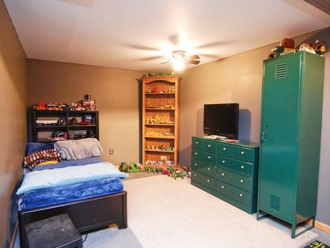 1540 E Reed Rd, Mazon, IL 60444 photo 16