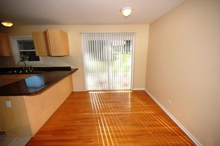 96 N Lyle Ave, Elgin, IL 60123 photo 7