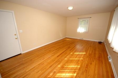 96 N Lyle Ave, Elgin, IL 60123 photo 8