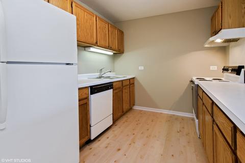 3265 Kirchoff Rd #226, Rolling Meadows, IL 60008 photo 6