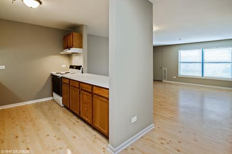 3265 Kirchoff Rd #226, Rolling Meadows, IL 60008 photo 2
