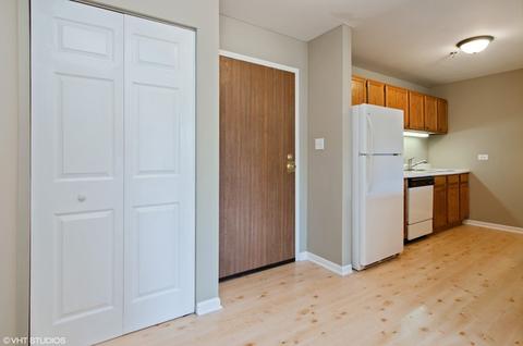 3265 Kirchoff Rd #226, Rolling Meadows, IL 60008 photo 7