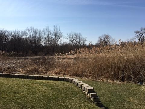 1525 Creekside Dr, Hoffman Estates, IL 60169 photo 24