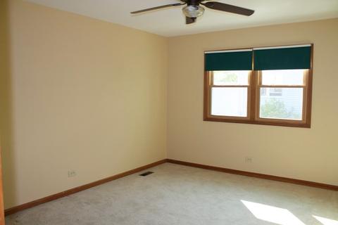 1223 Windemere Ave, Naperville, IL 60564 photo 14