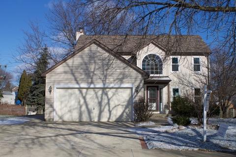 1223 Windemere Ave, Naperville, IL 60564 photo 23