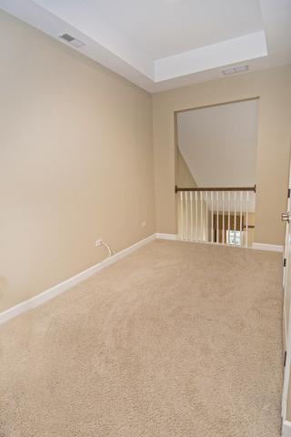 12710 Wild Rye Ct, Plainfield, IL 60585 photo 25