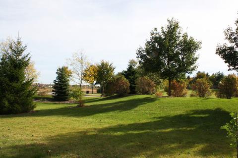 911 Hayrack Dr, Algonquin, IL 60102 photo 30