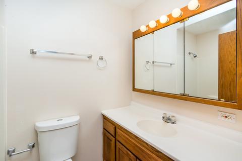 3816 Park Ave, Steger, IL 60475 photo 28