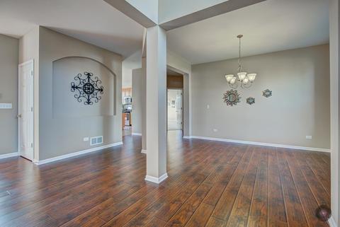 11401 Glenbrook Cir, Plainfield, IL 60585 photo 4